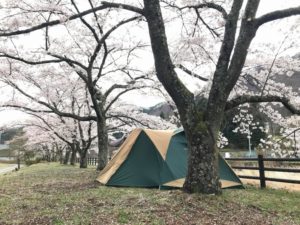 グリーンパークふきわれ｜桜を満喫！お花見ができる関東のキャンプ場10選
