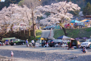 ケニーズ・ファミリー・ビレッジ｜桜を満喫！お花見ができる関東のキャンプ場10選