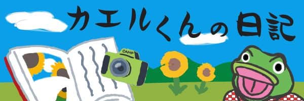blog
