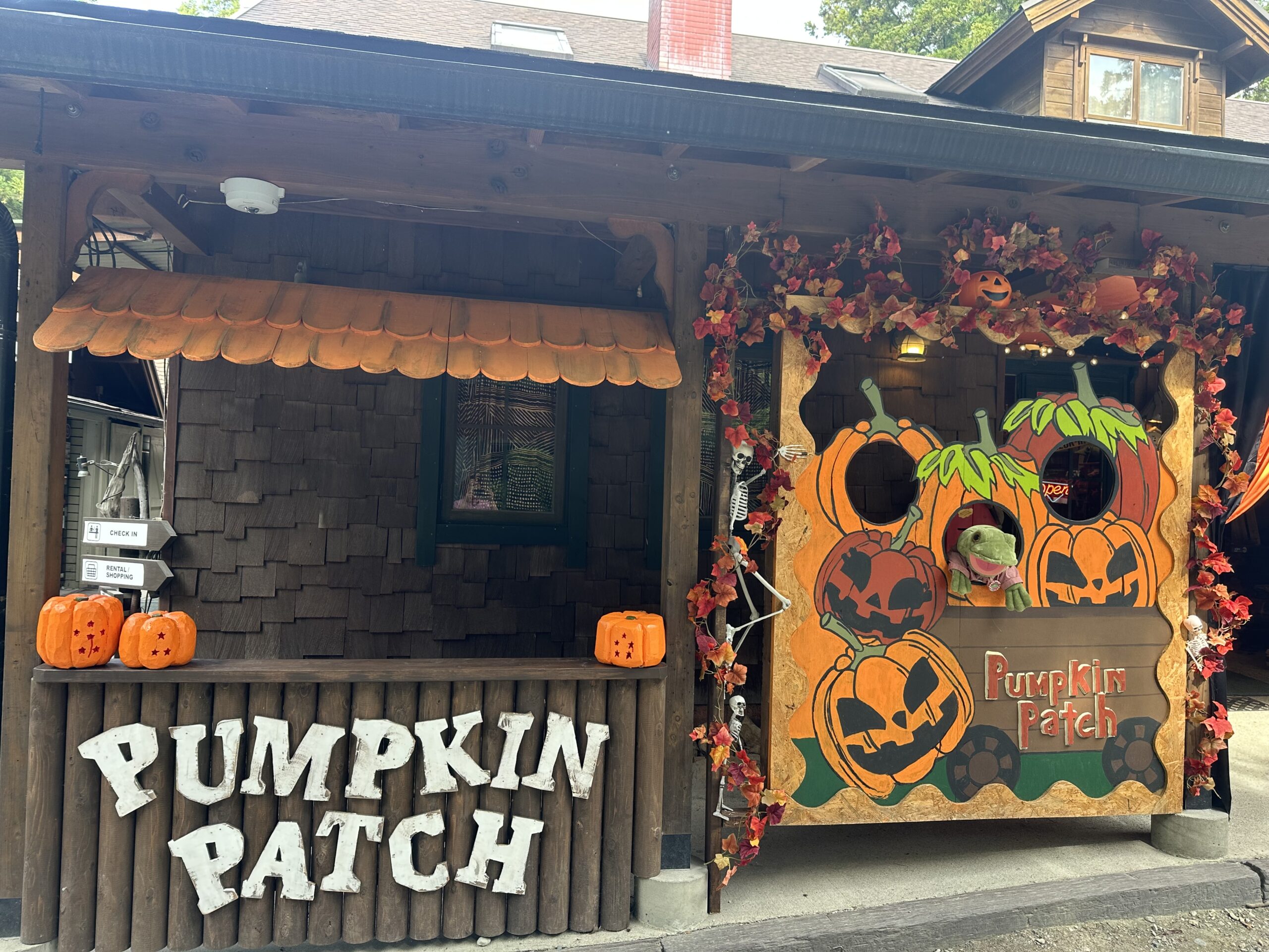 ハロウィンイベントはじまるよ！