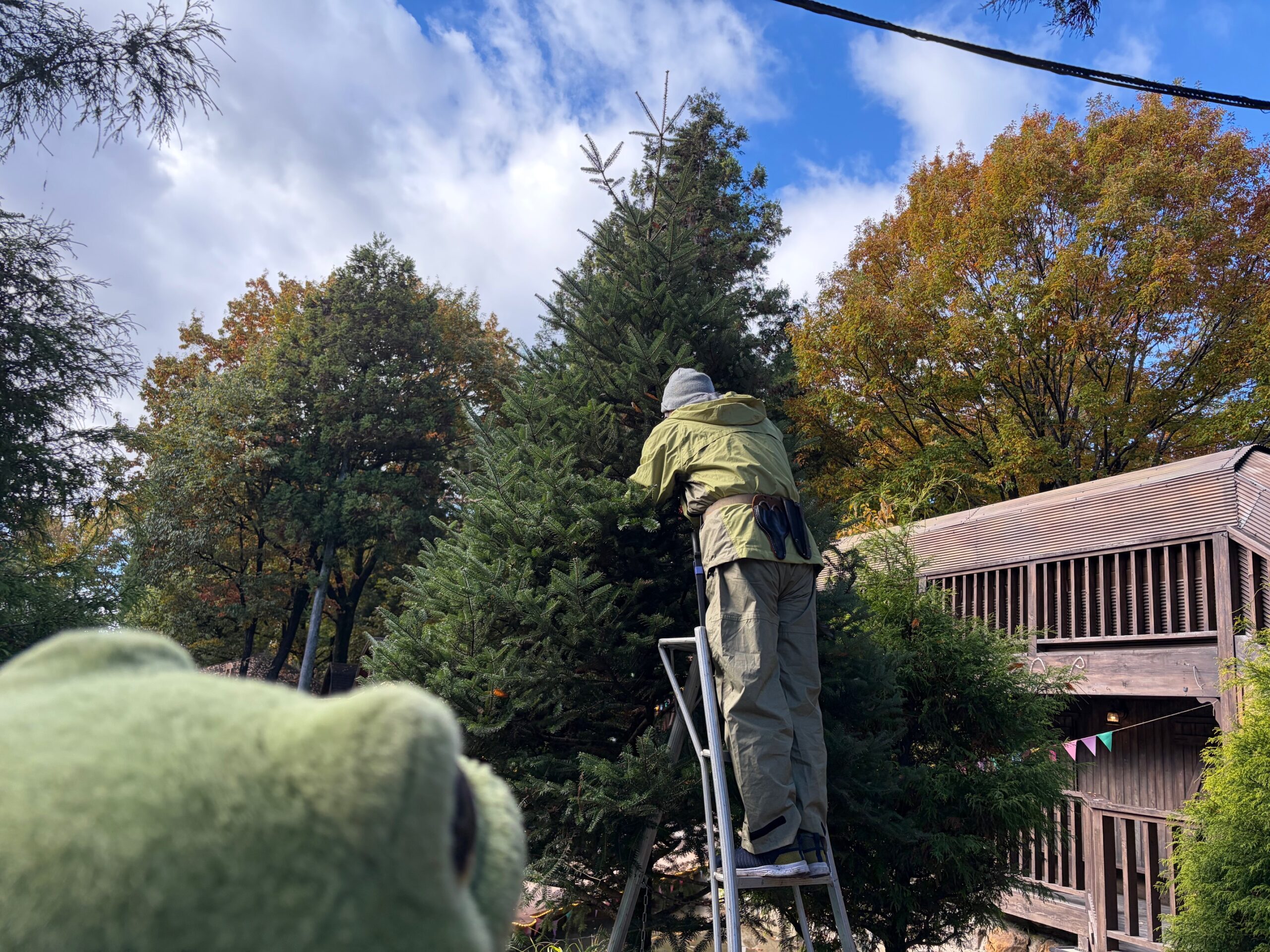 カエルくん、剪定中！