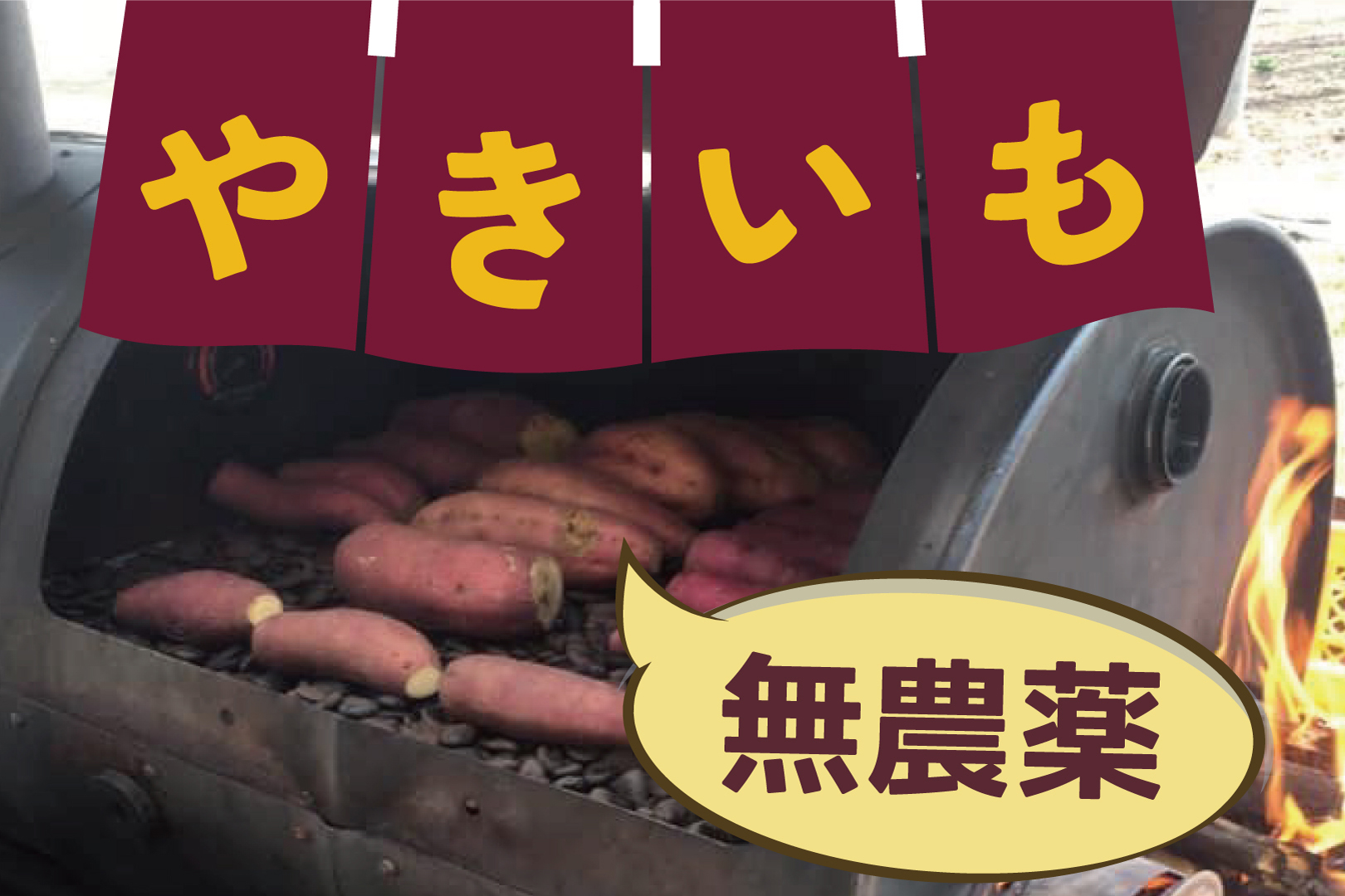 【takeshi farm】無農薬 石焼いも販売