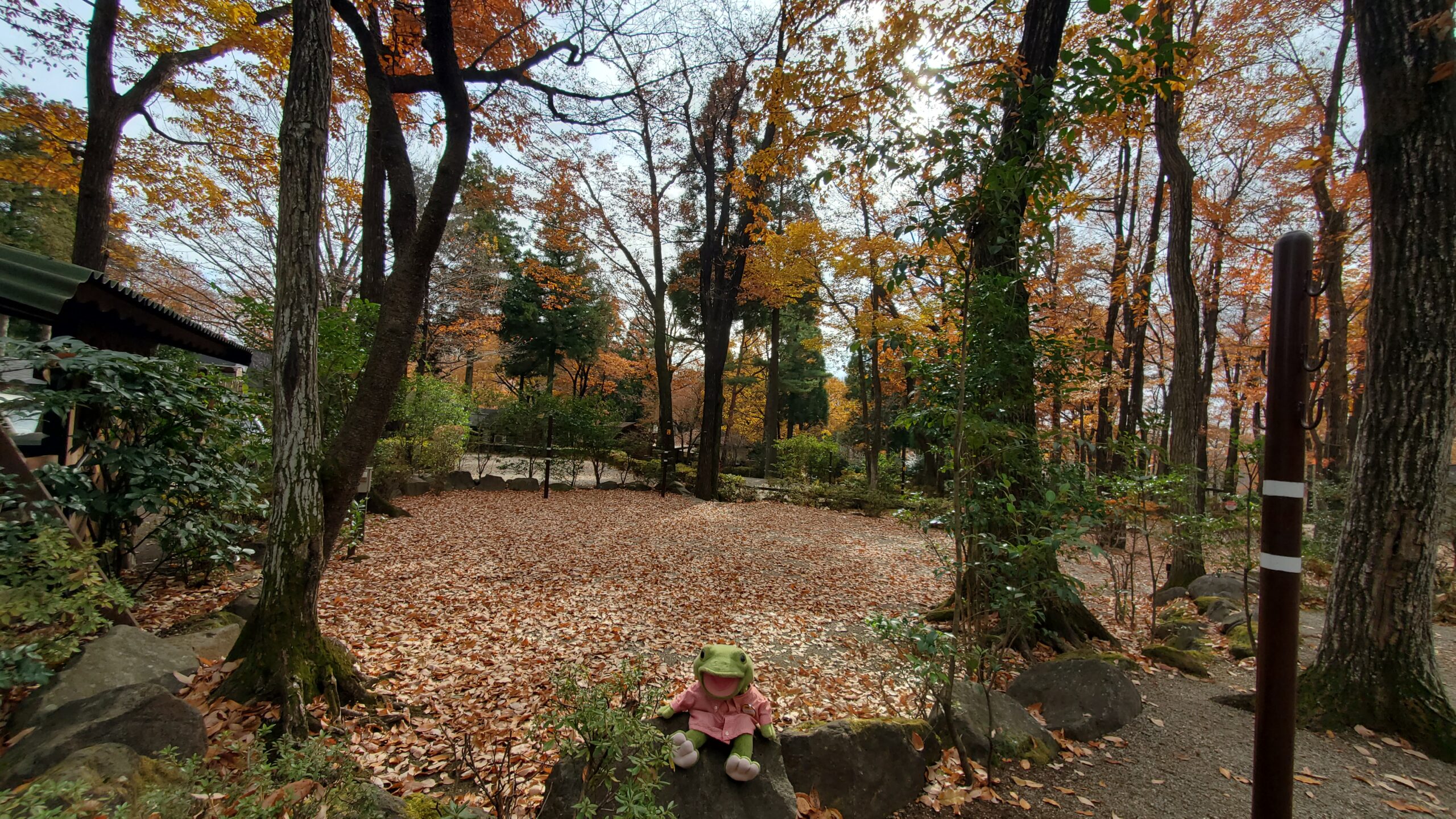 落ち葉がたくさん♪