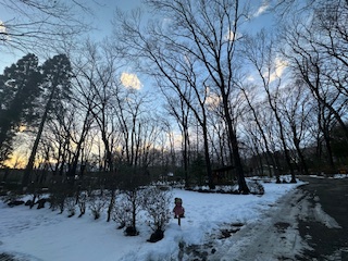 今日は定休日♪