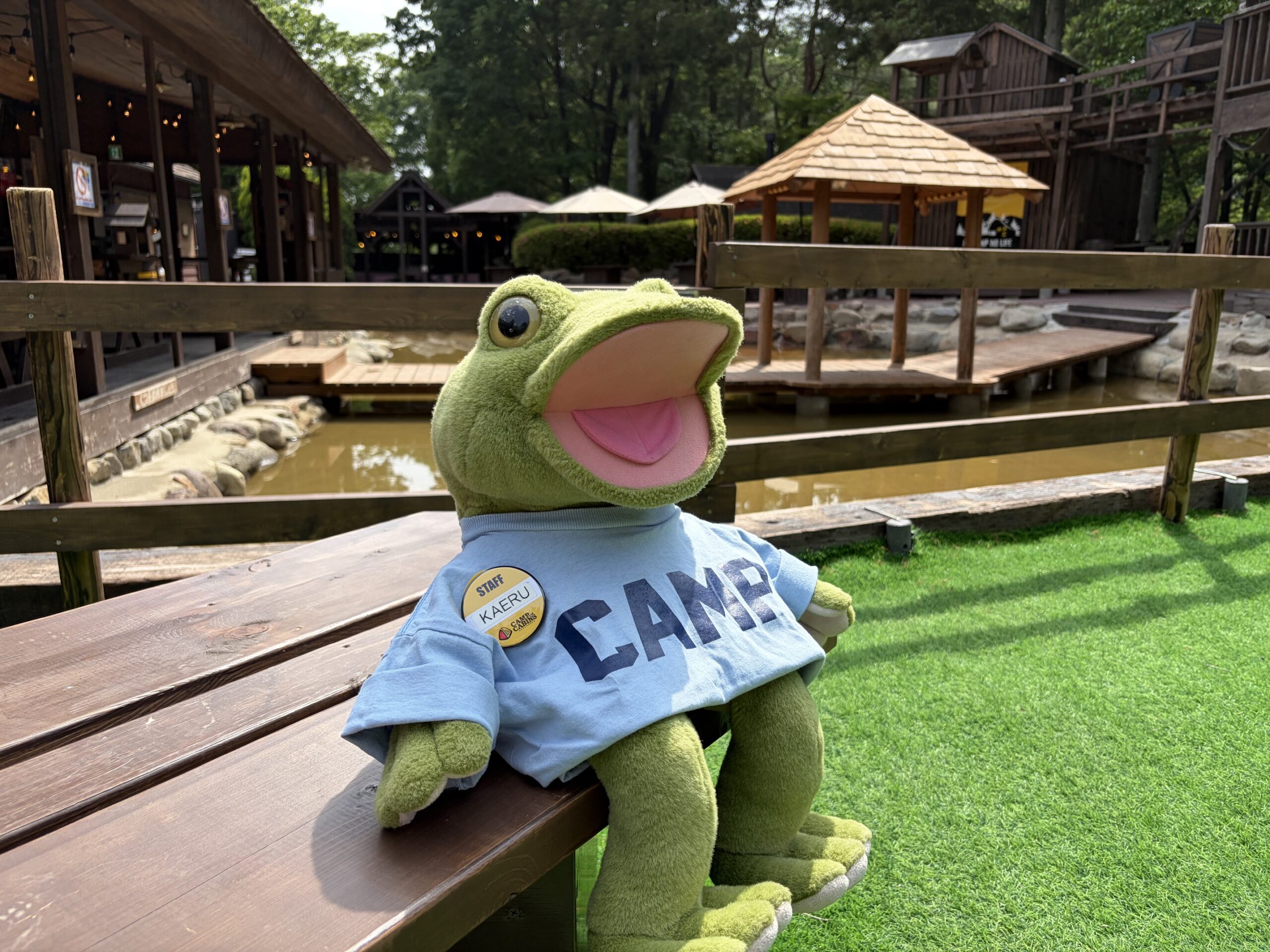 カエルくん、衣替え！