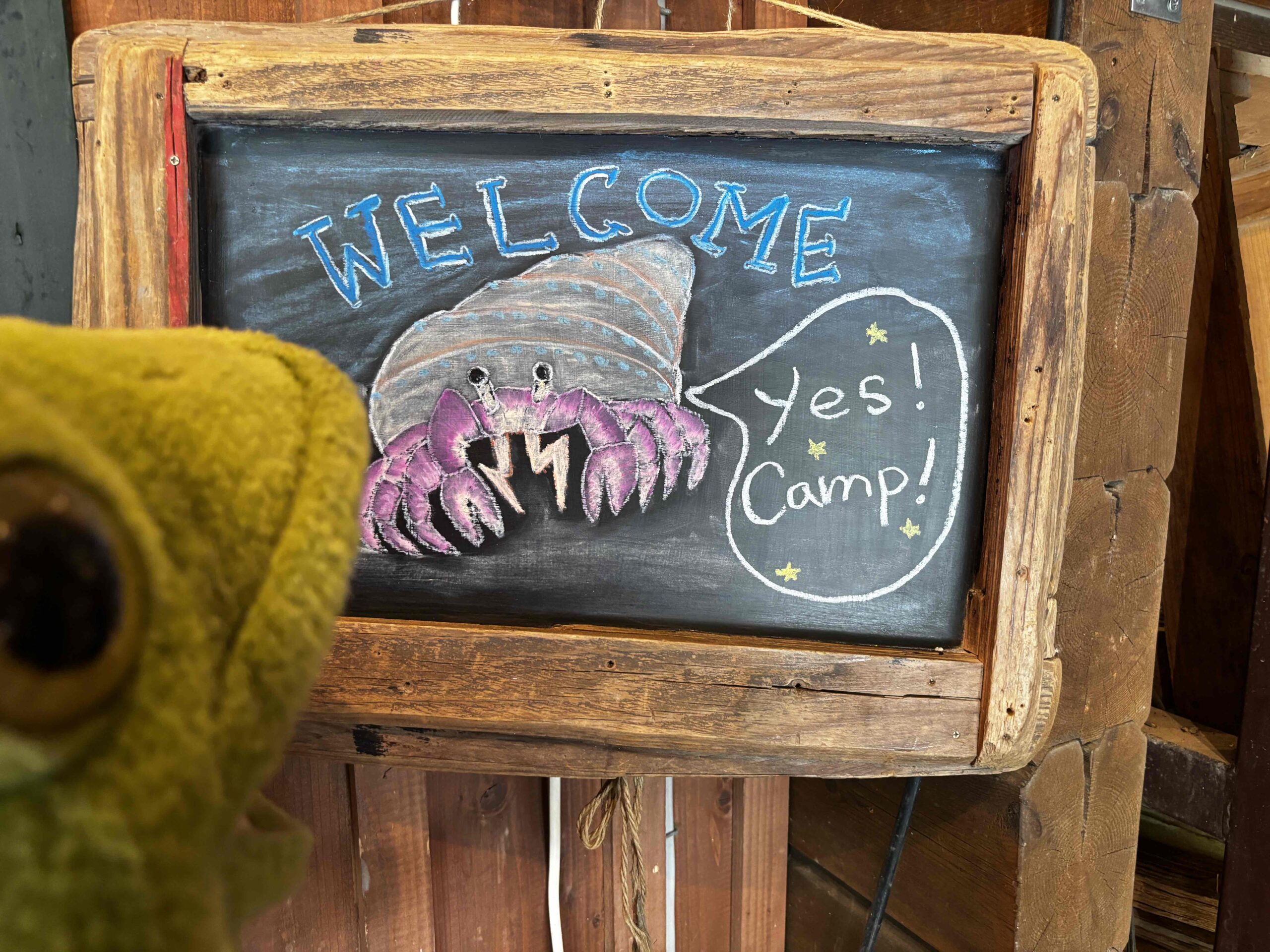 WELCOME♪夏仕様です