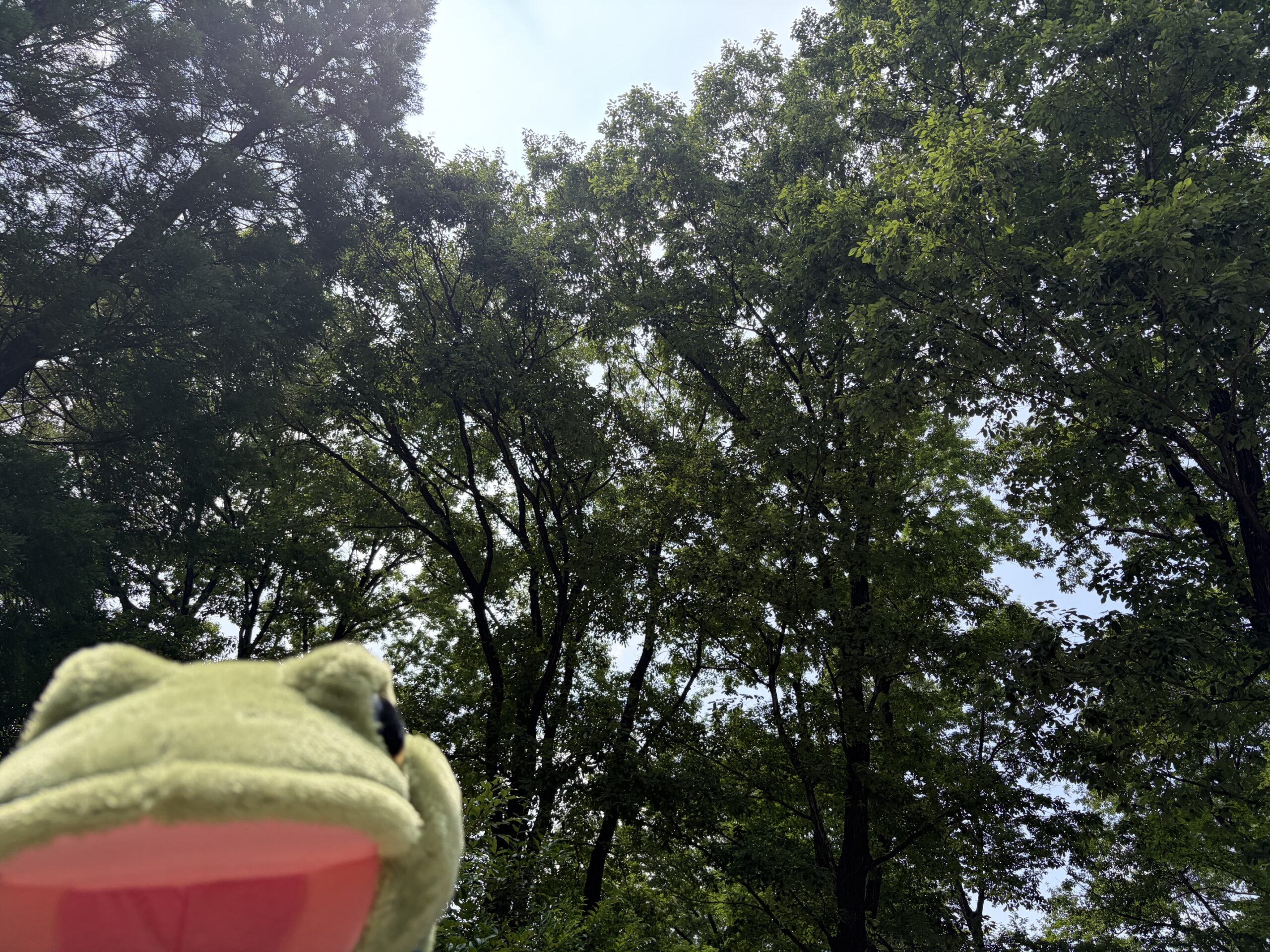 夏、始まってます！