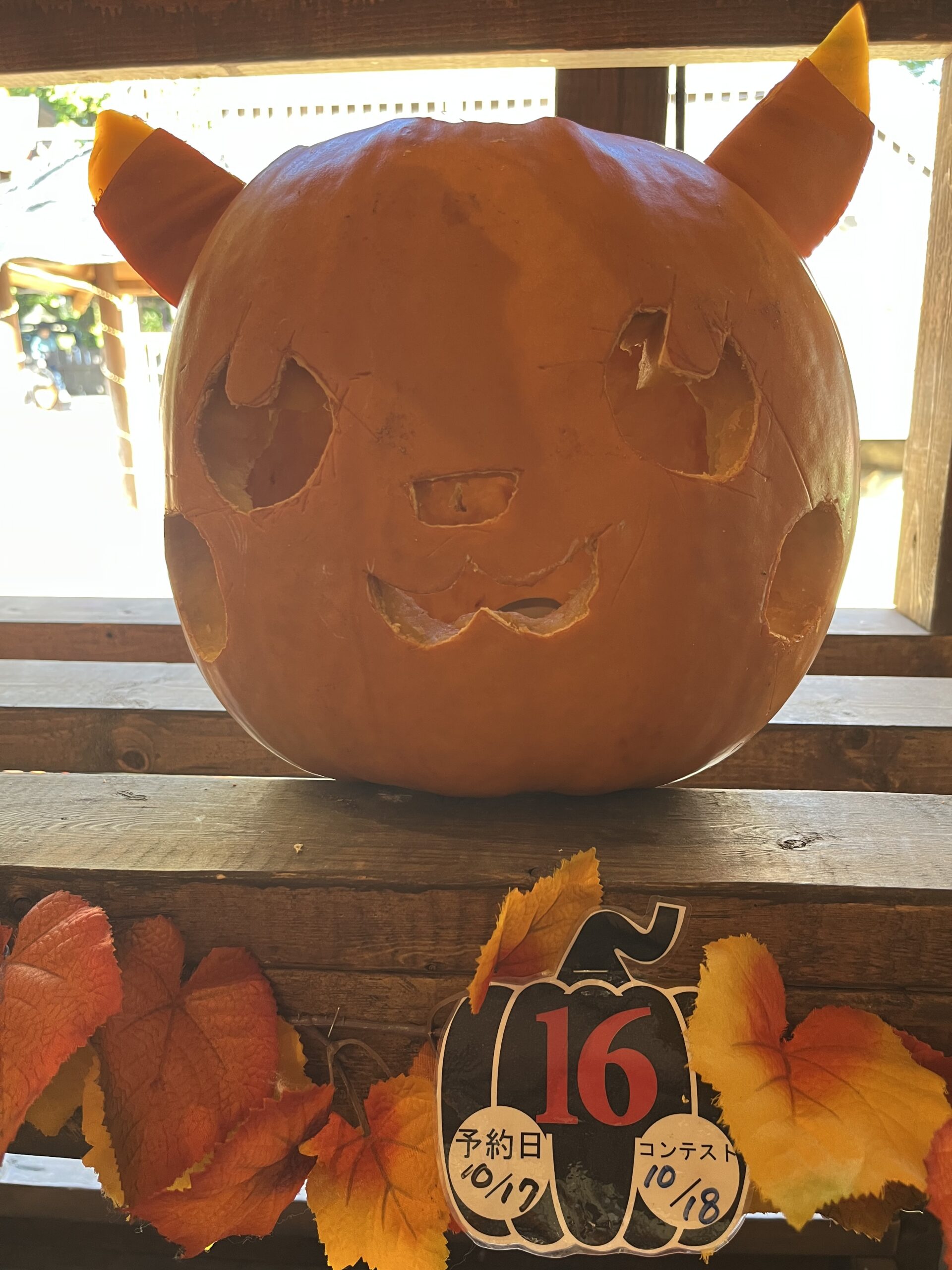 No.16
