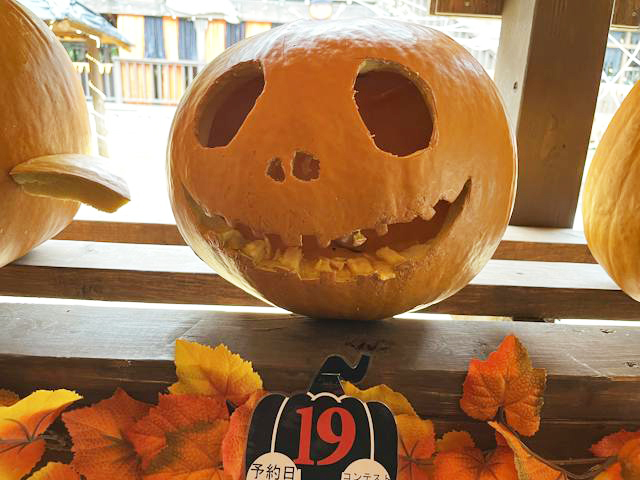 No.19