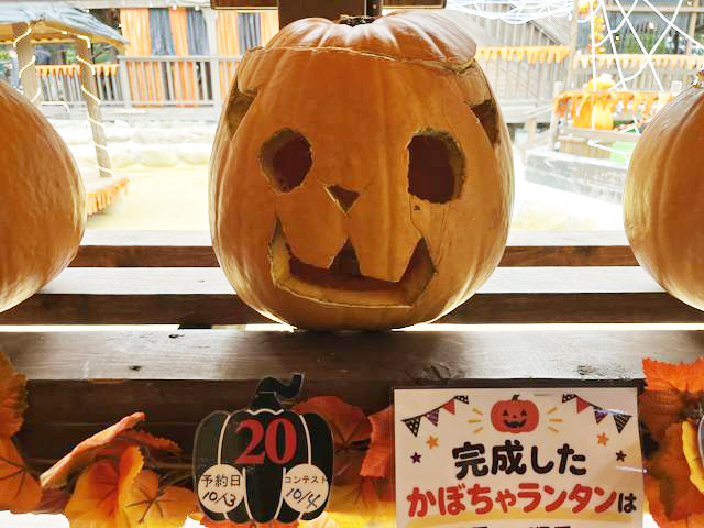 No.20