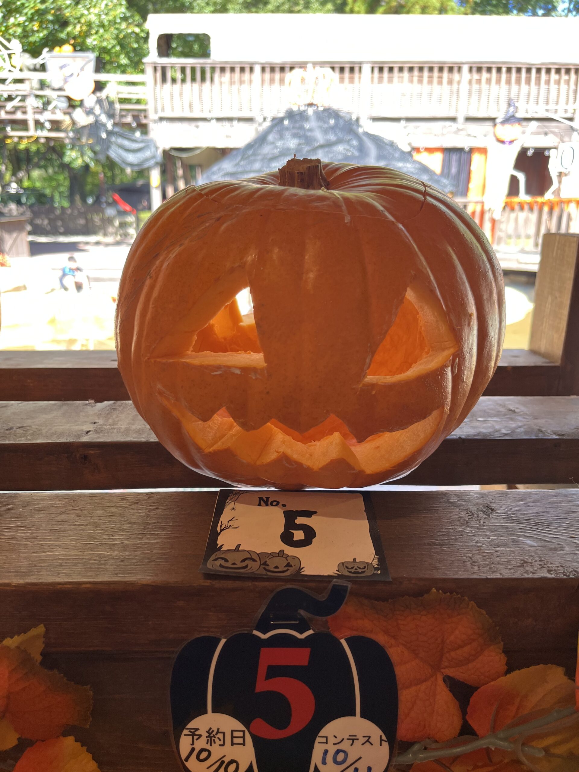 No.5