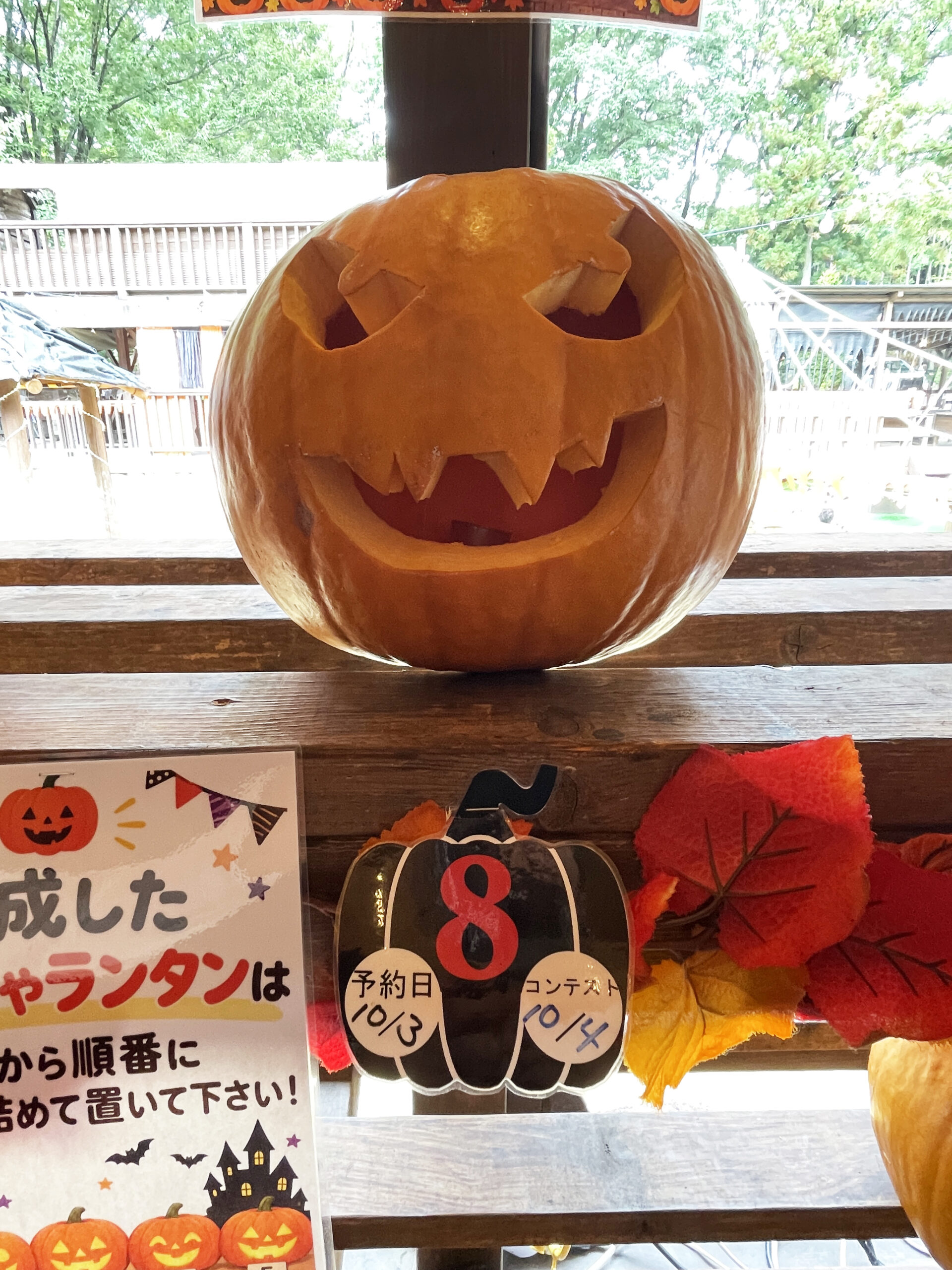 No.8
