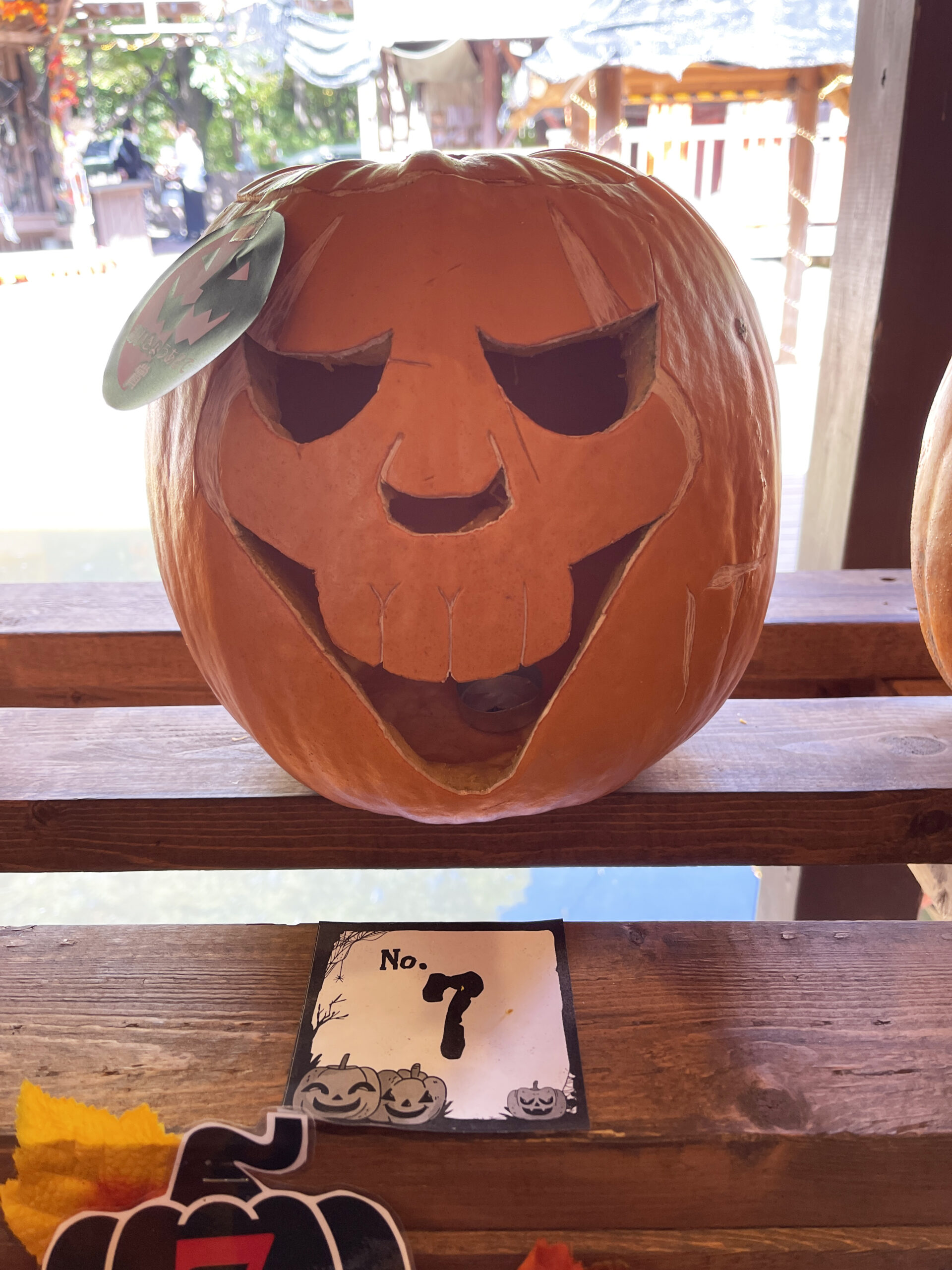 No.7
