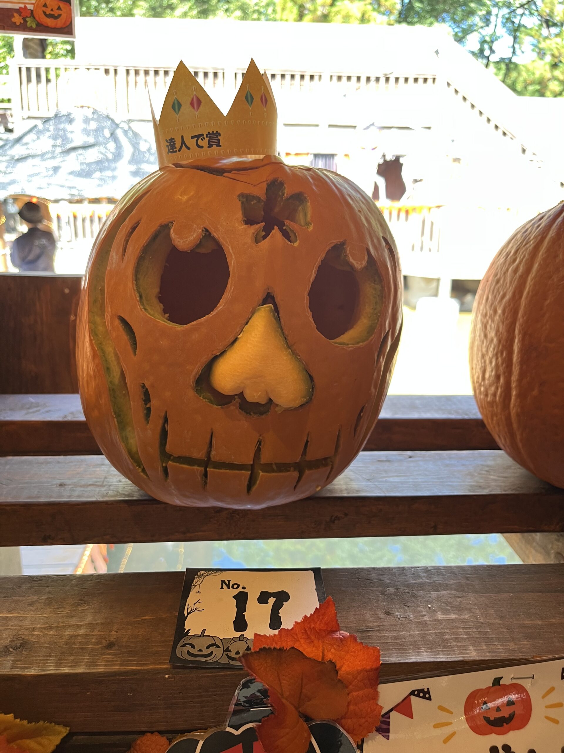 No.17