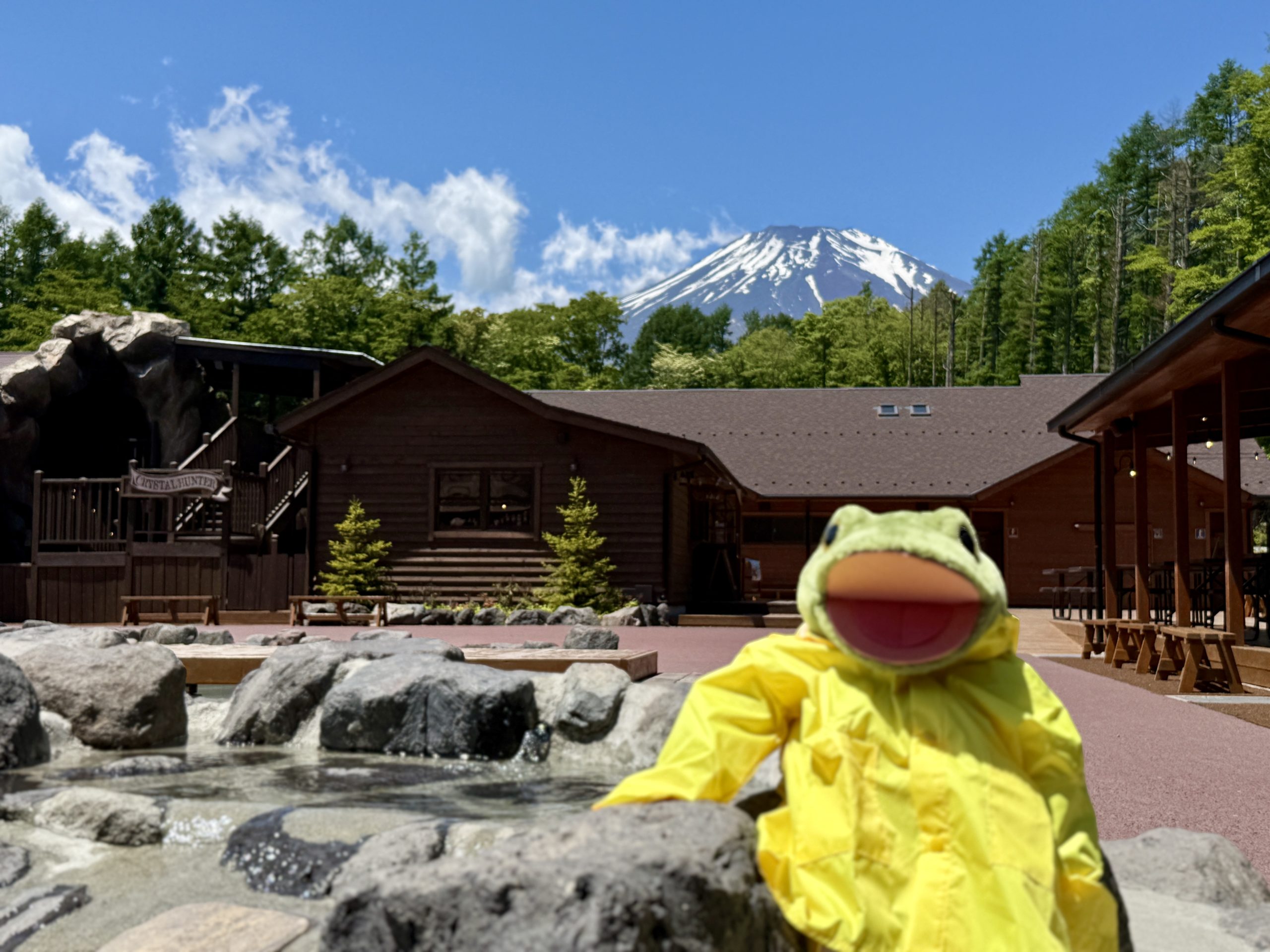 【お散歩日和♪】今年も夏がやってきました！