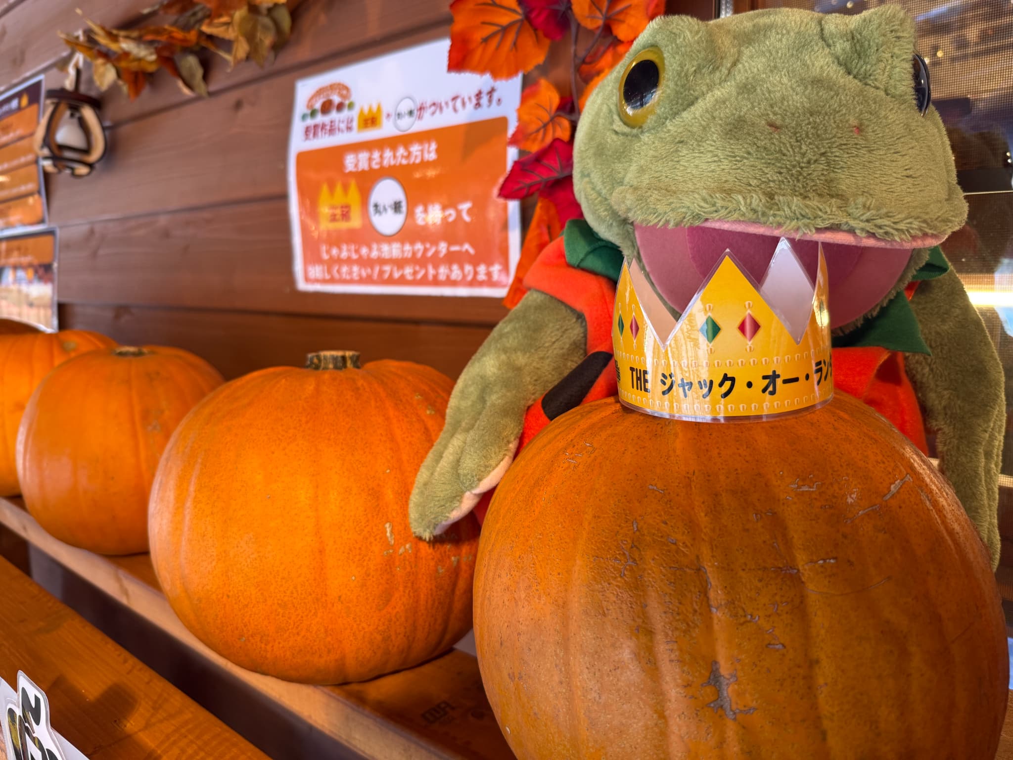 【2025年度】かぼちゃランタンづくり🎃