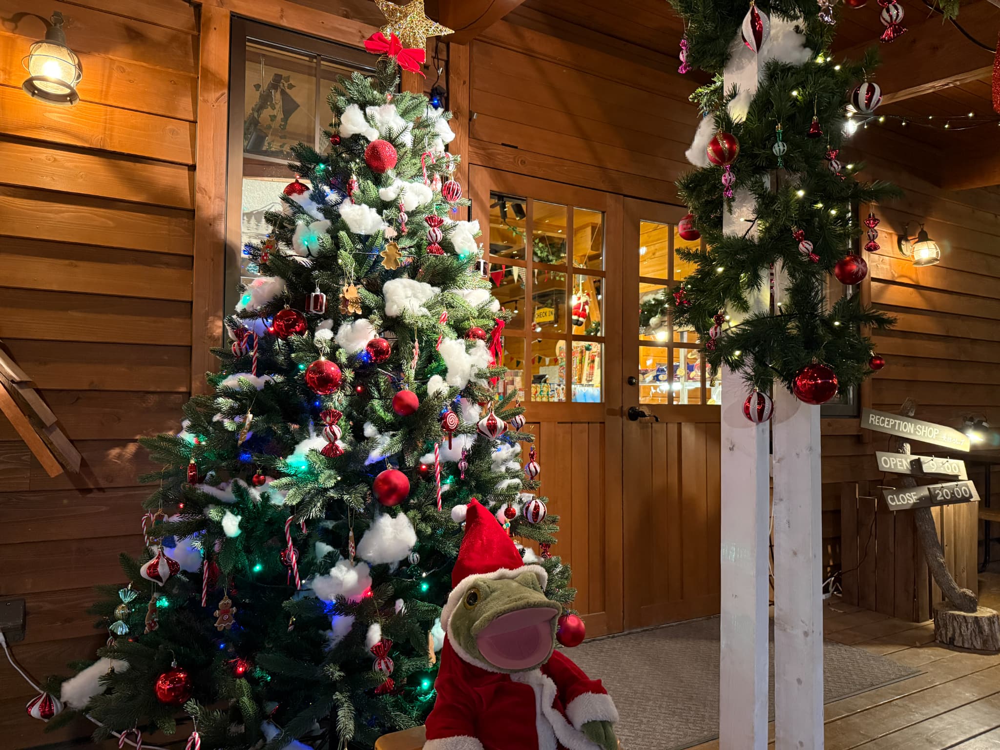 12月クリスマスイベント開催中です！🎄