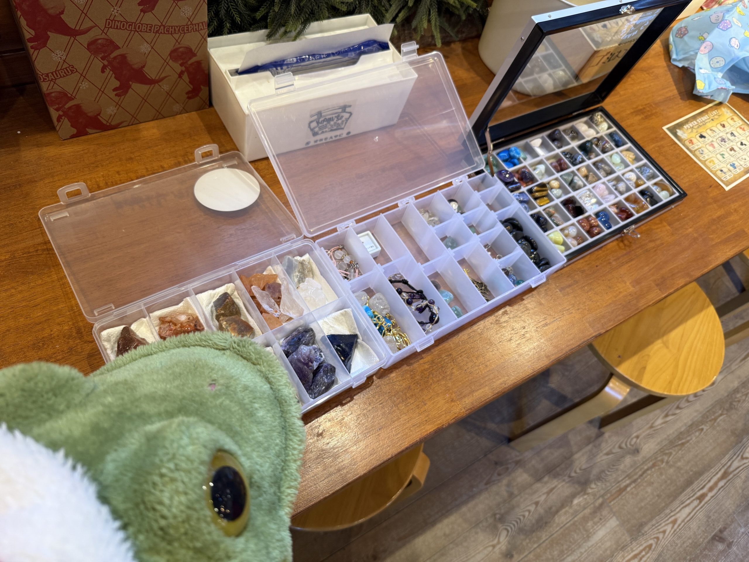 精鋭ハンターの秘蔵コレクションにカエルくんも驚き！？