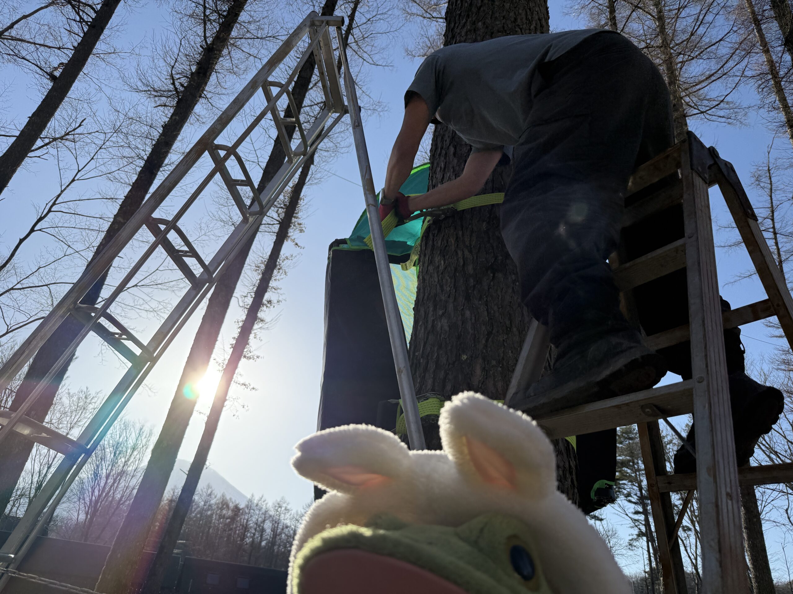 パーキングＢの森で作業中！？