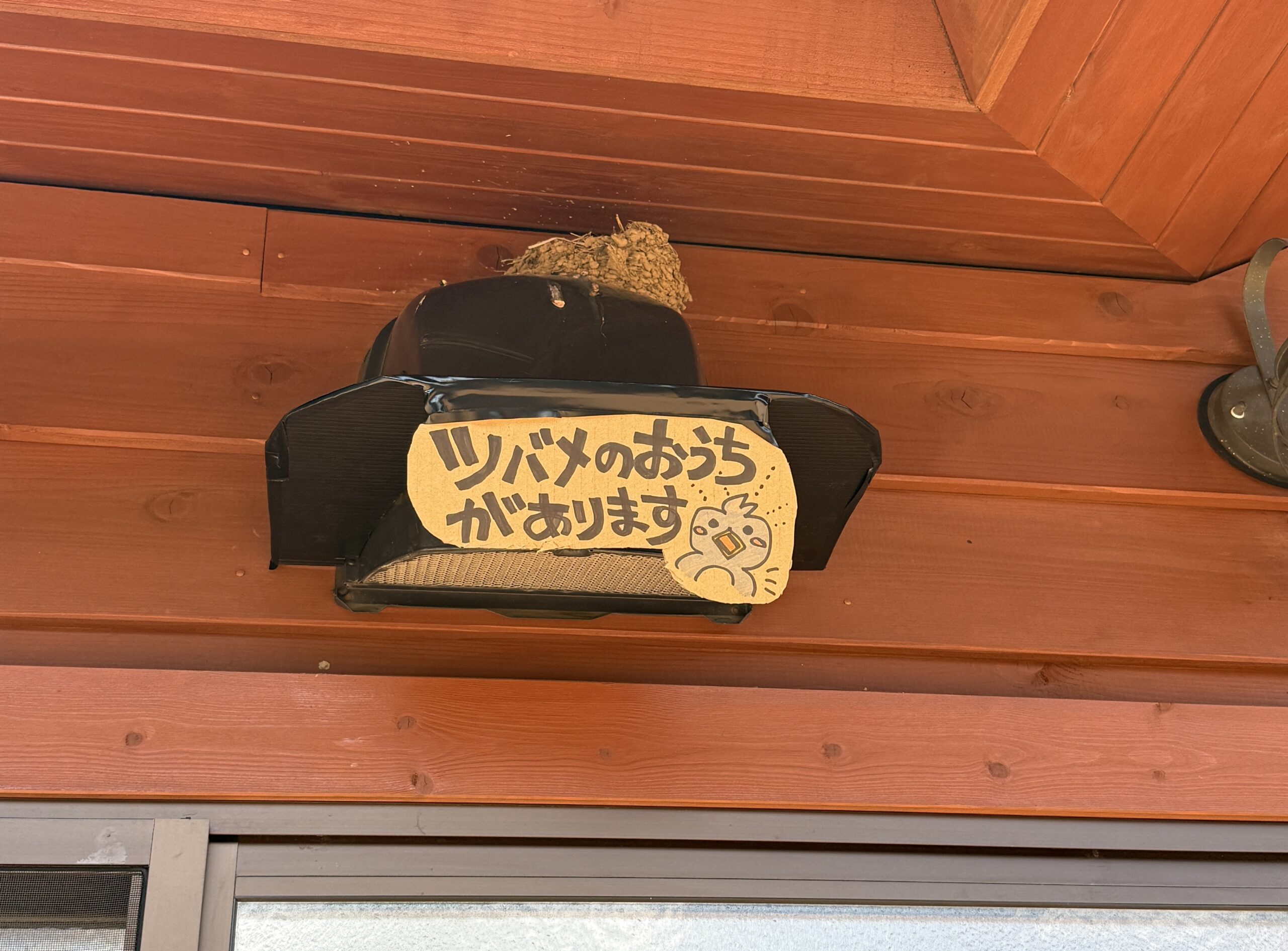 ”愛くるしい季節の使者”がキャンプ場にやってきた！