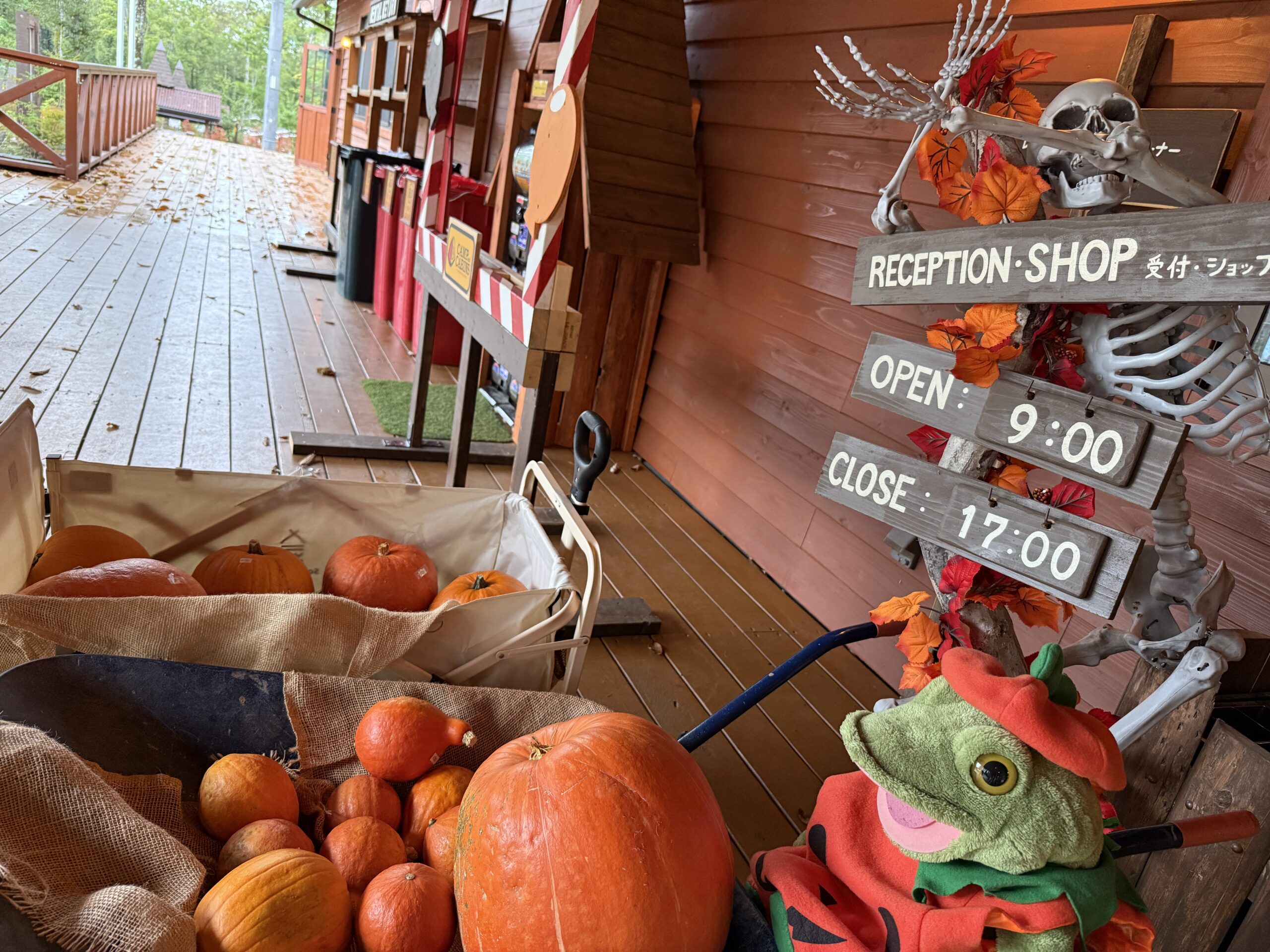 自家栽培のハロウィンカボチャ販売中！